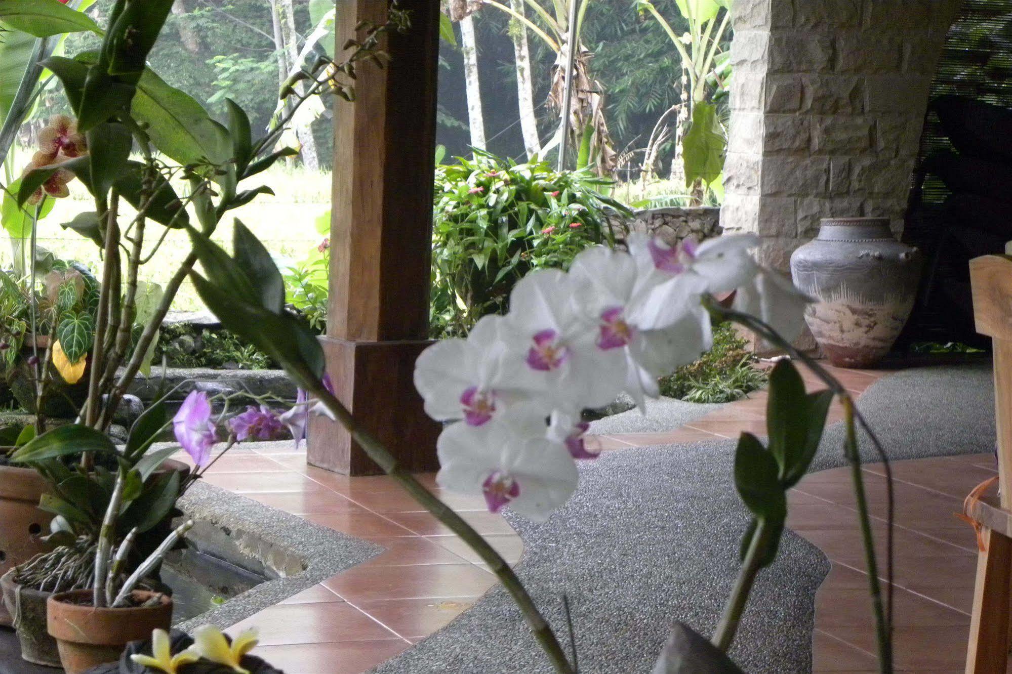 Saudara Home Ubud Bagian luar foto