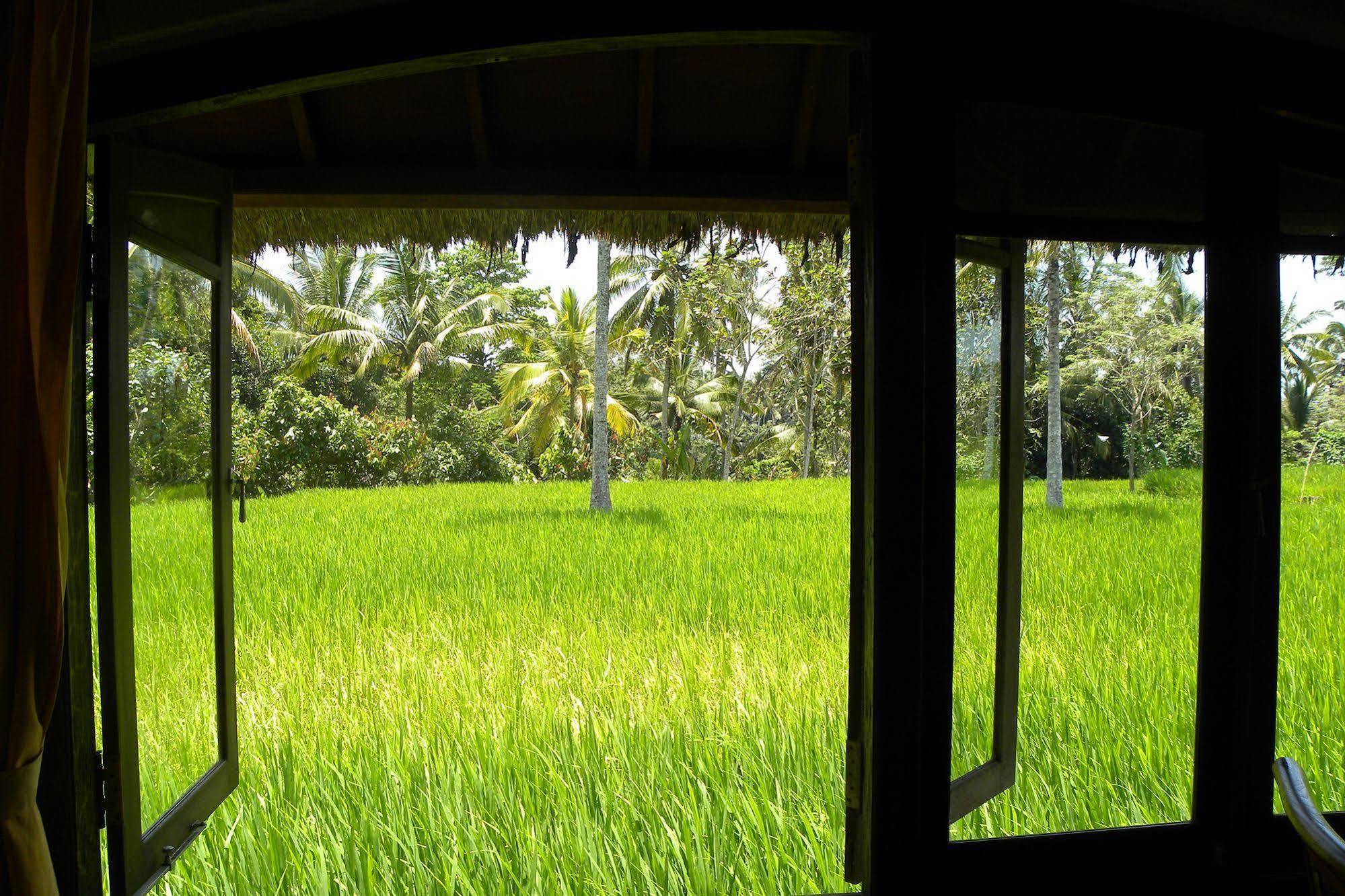 Saudara Home Ubud Bagian luar foto