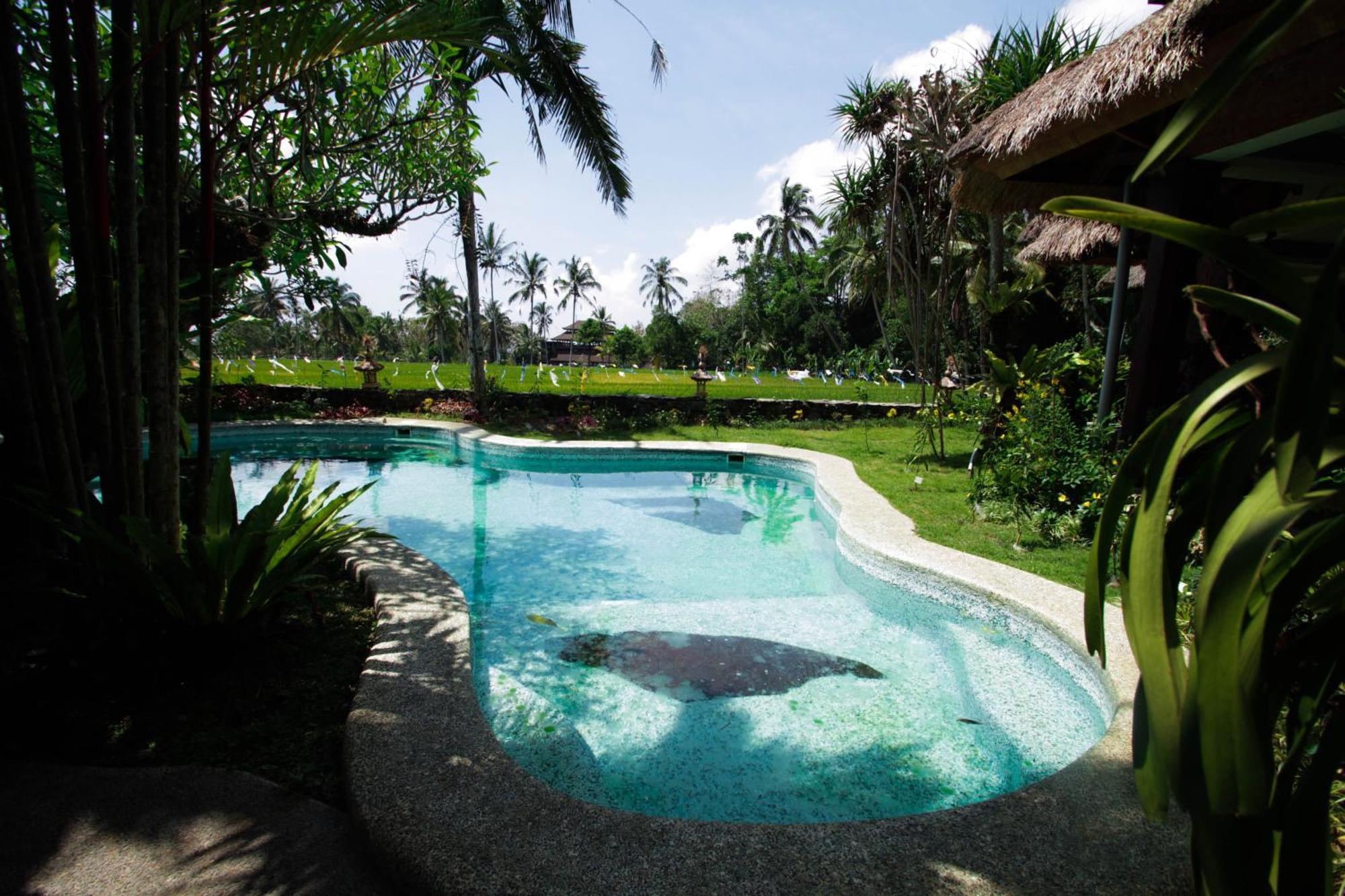 Saudara Home Ubud Bagian luar foto
